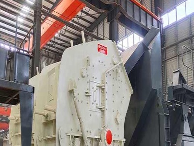 aggregate crusher project report .